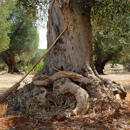 Trullo Dei Normanni Villa